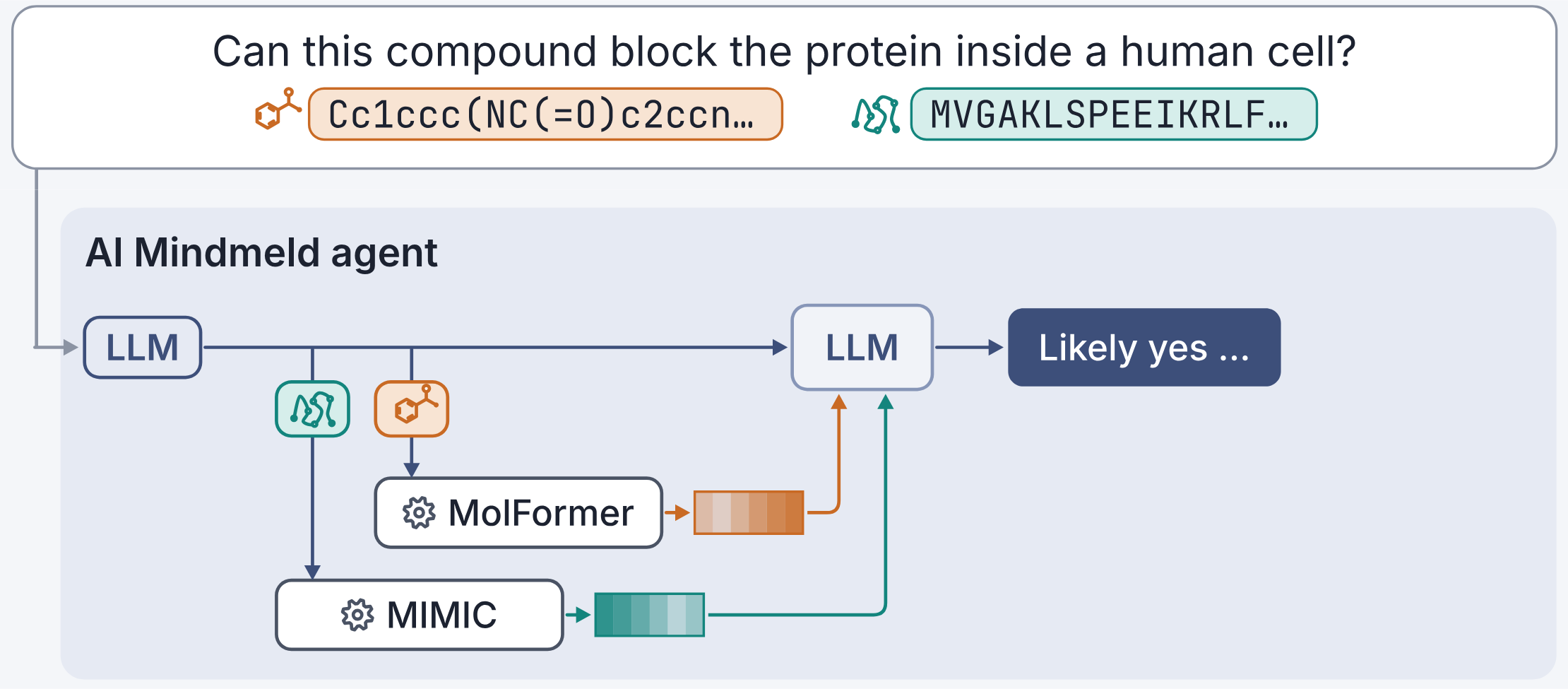 The same question about a compound blocking a protein, answered through the AI Mindmeld agent: MIMIC encodes the protein and MolFormer encodes the compound, and both representations enter the LLM directly.