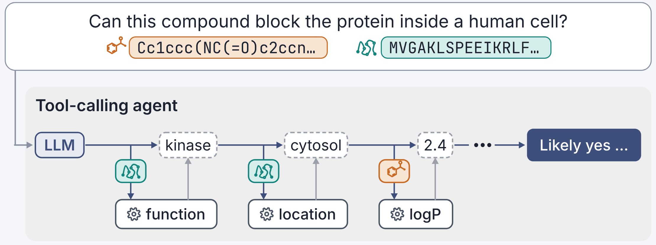 Illustrative tool-calling workflow: an LLM asks whether a compound can block a protein inside a human cell, then queries protein function, protein location, and compound logP, receiving kinase, cytosol, and 2.4 before forming an answer.