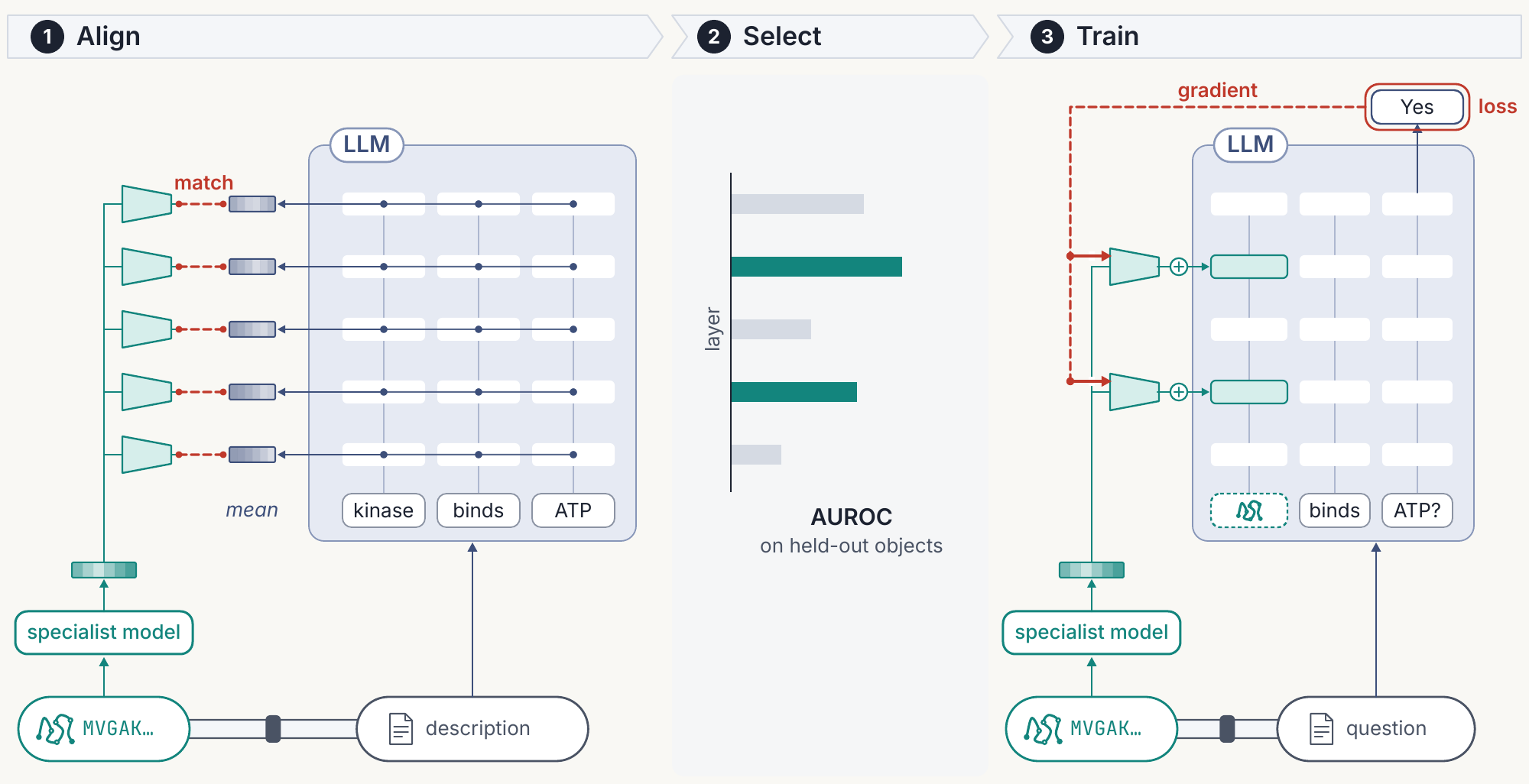 Figure 2: independent connector training in three stages—align representations, select injection layers, and train the connector while keeping the specialist and LLM frozen.
