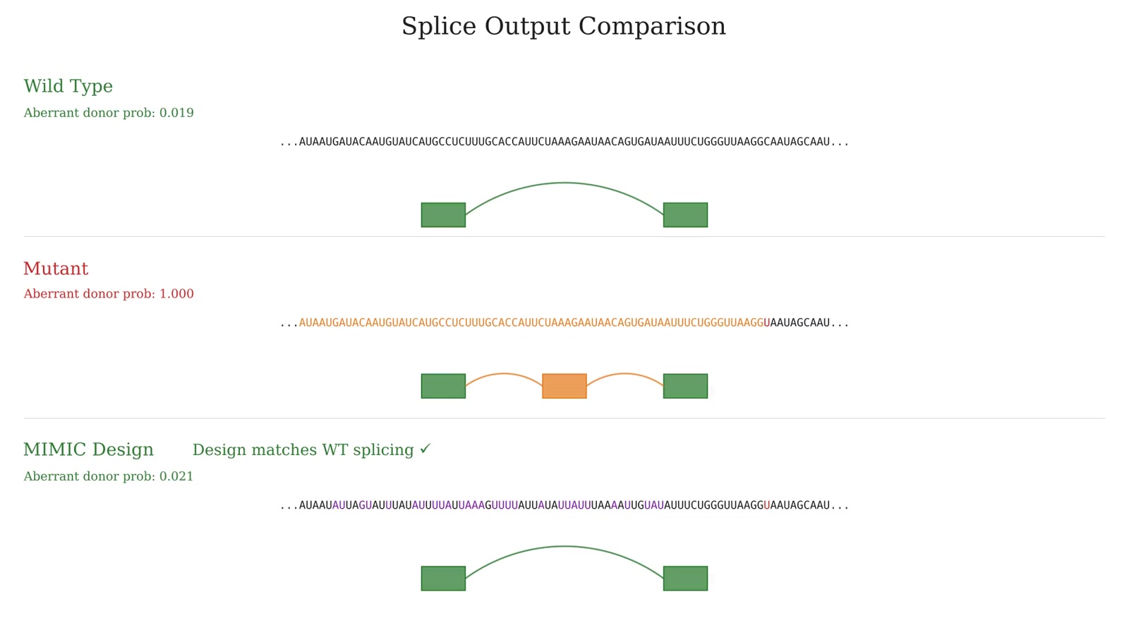 RNA correction design