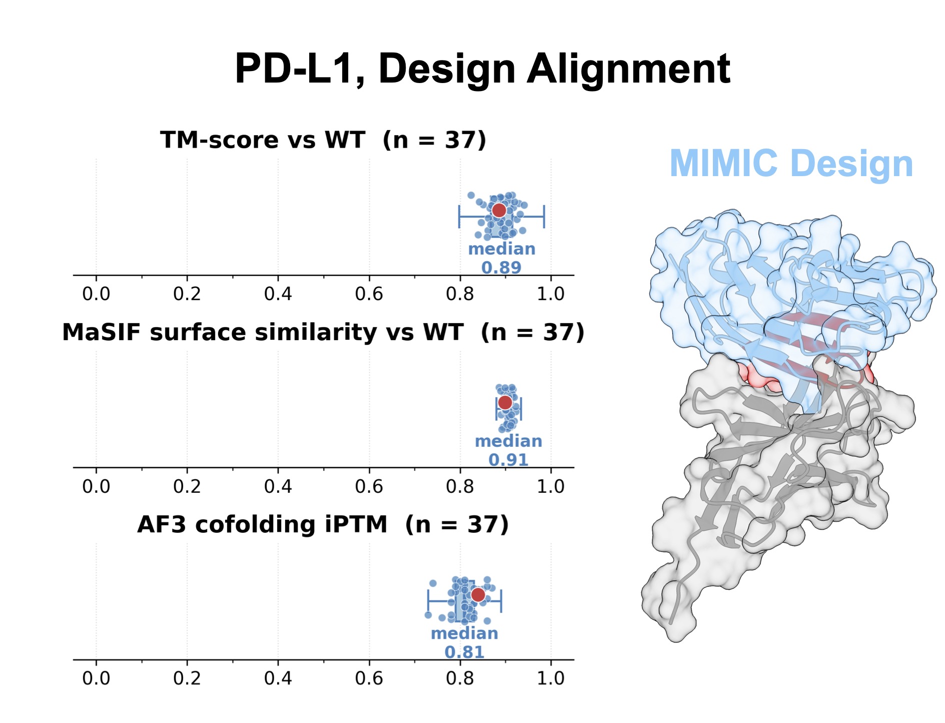 MIMIC protein design
