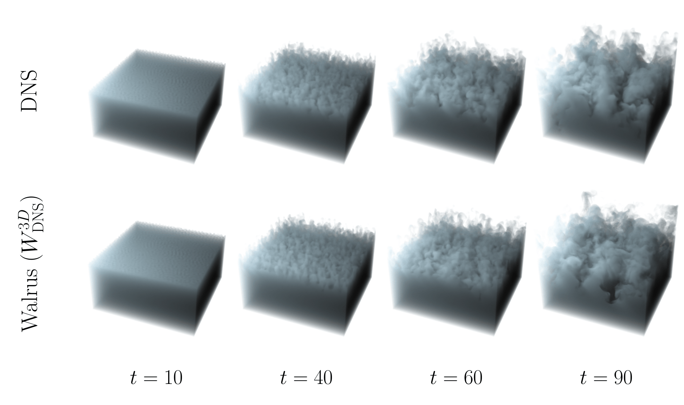 Comparison of DNS and Walrus rollout showing RTI bubble morphology and mixing layer development