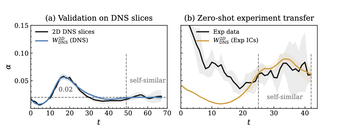Growth rate coefficient alpha for DNS validation and zero-shot transfer from DNS-specialized Walrus to laboratory RTI